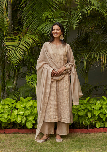 Almond Zari Jaal Embroidered Tissue Kurta Set