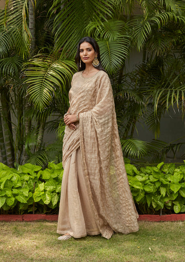 Almond Embroidered Tissue Saree