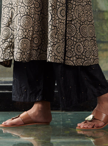 Midnight Black Zari Embroidered Silk Farshi