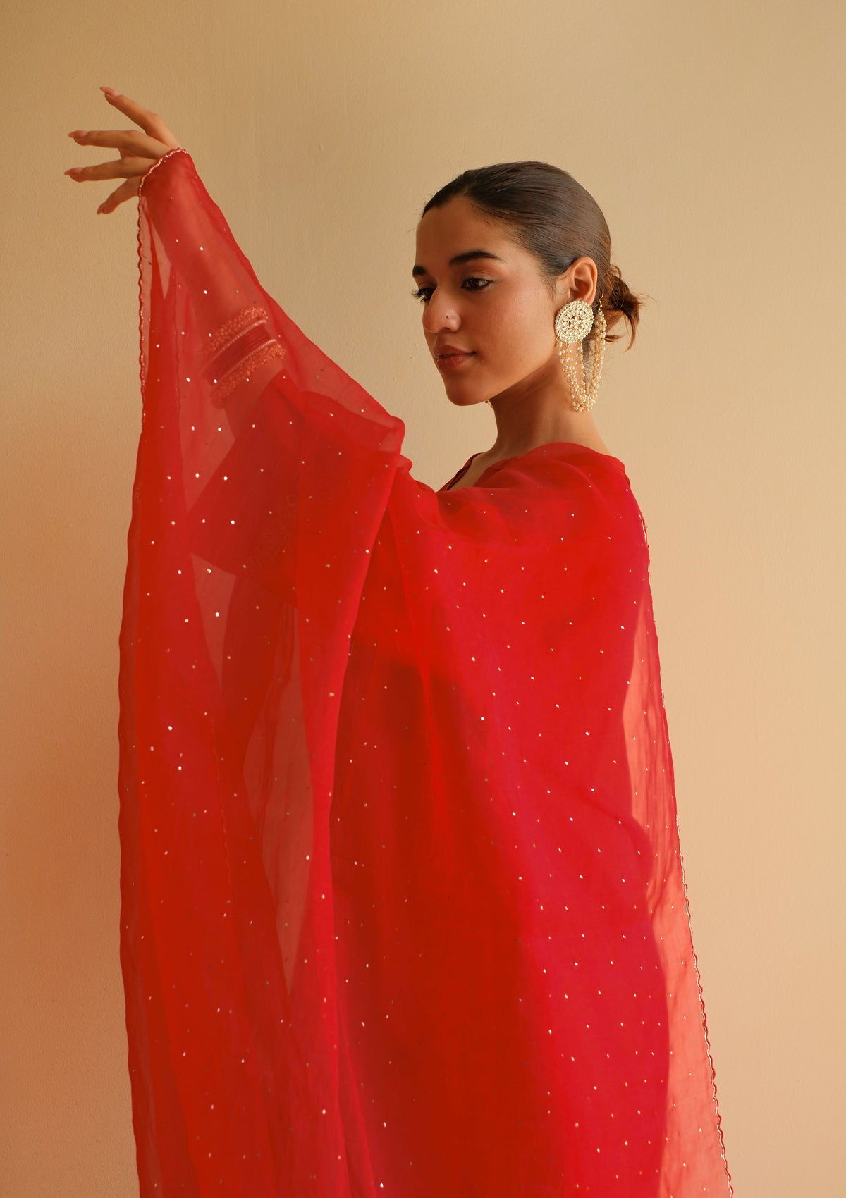 Scarlet Mukaish Organza Dupatta