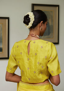 Canary Zardozi Embroidered Saree