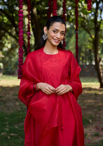Scarlet Sequin Embroidered Kurta Set